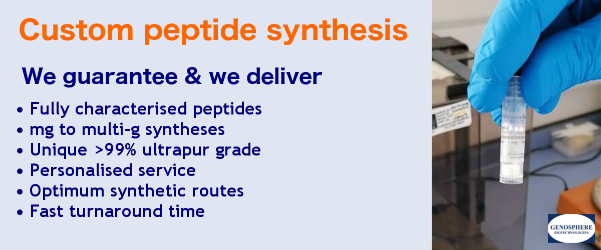 Peptide 3