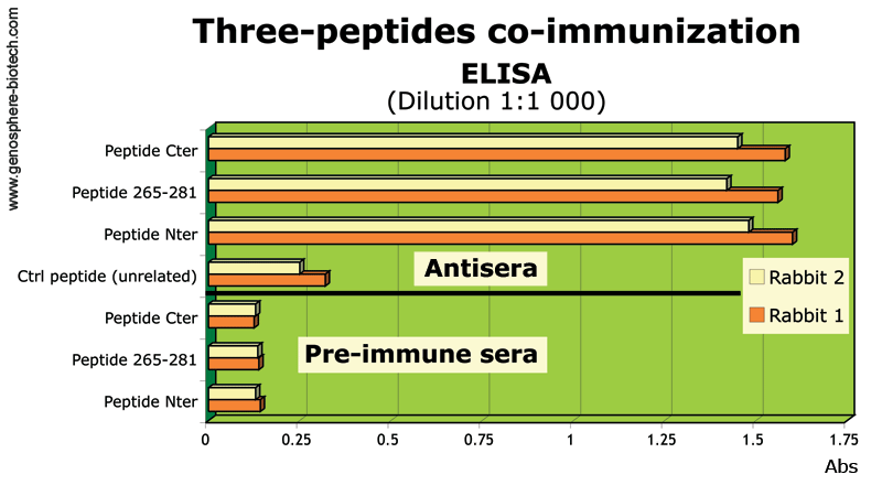 Production d'Anticorps par Co-Immunisation