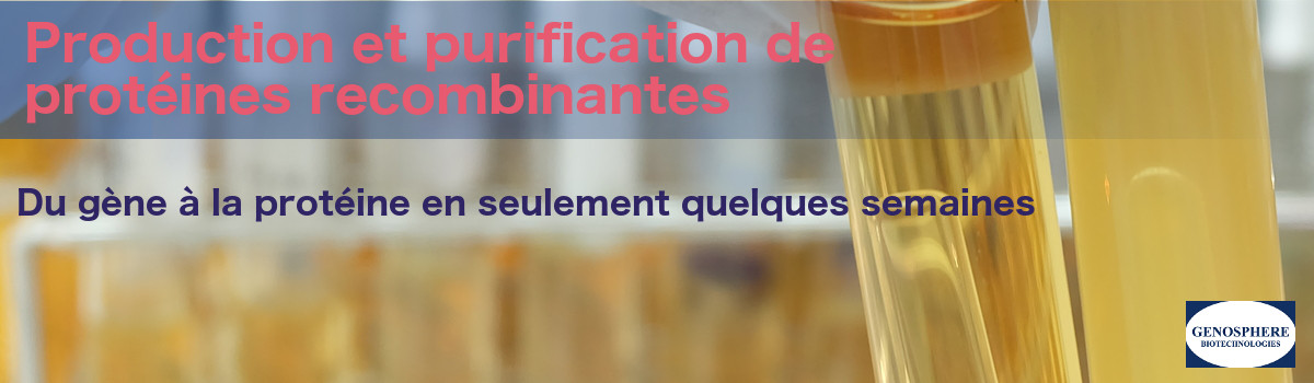 Expression de Protéines Recombinantes