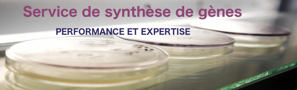 synthèse de gènes