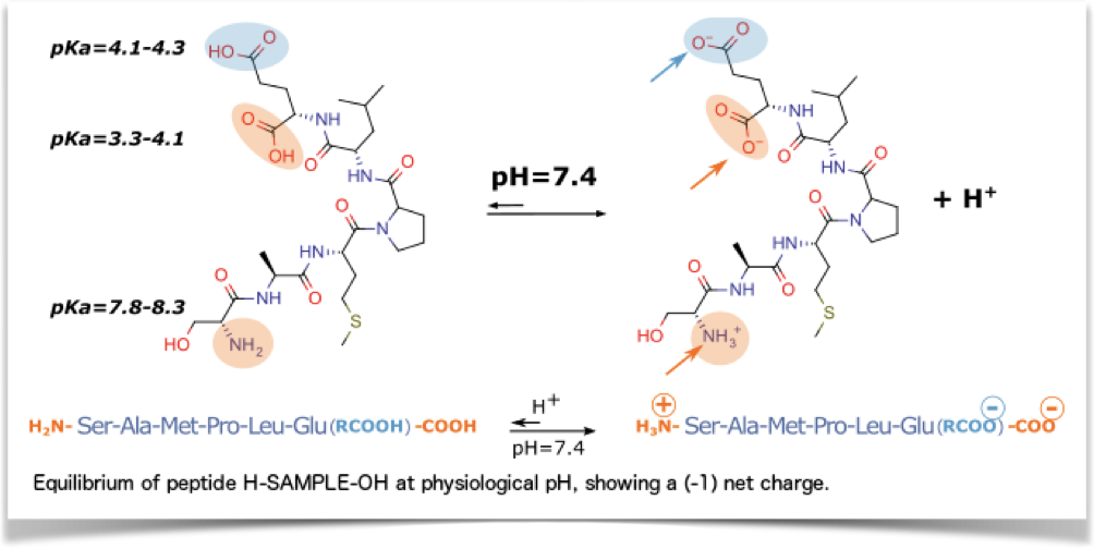 Ap1F4Equilibr-SAMPLE