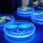 Applications of Fluorescent Peptide Synthesis in Molecular Imaging