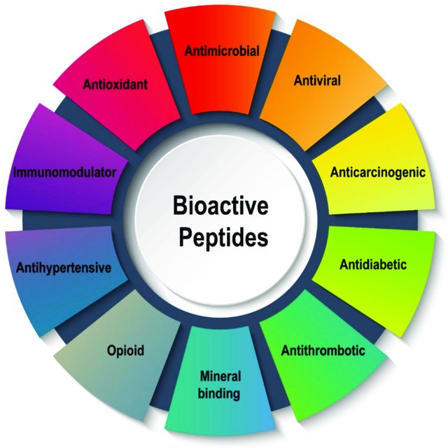 Active peptides